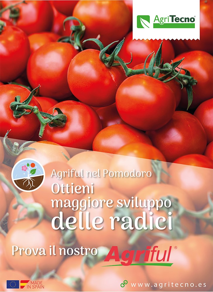 PROVA IL nostro #Agriful nel #POMODORO



PRUEBA nuestro #Agriful en #TOMATE
Traducido del Italiano