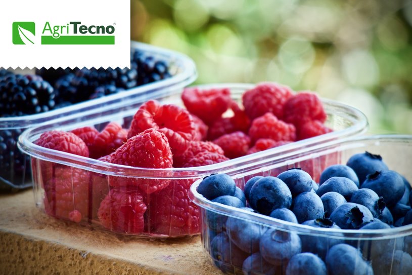 Nuestras soluciones AgriTecno para #berries
#TecaminMax: Aminoácido especifico para situaciones de Estrés.
#TecaminBrix: Para Engorde, y aumentar Grados Brix.
#Agriful: promueve la emisión de nuevas r…