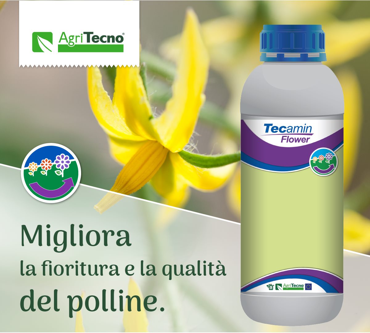 Migliora la fioritura e la qualità del polline
 Prova il nostro Tecamin Flower



Mejora la floración y la calidad del polen
 Prueba nuestro Tecamin Flower
Traducido del Italiano