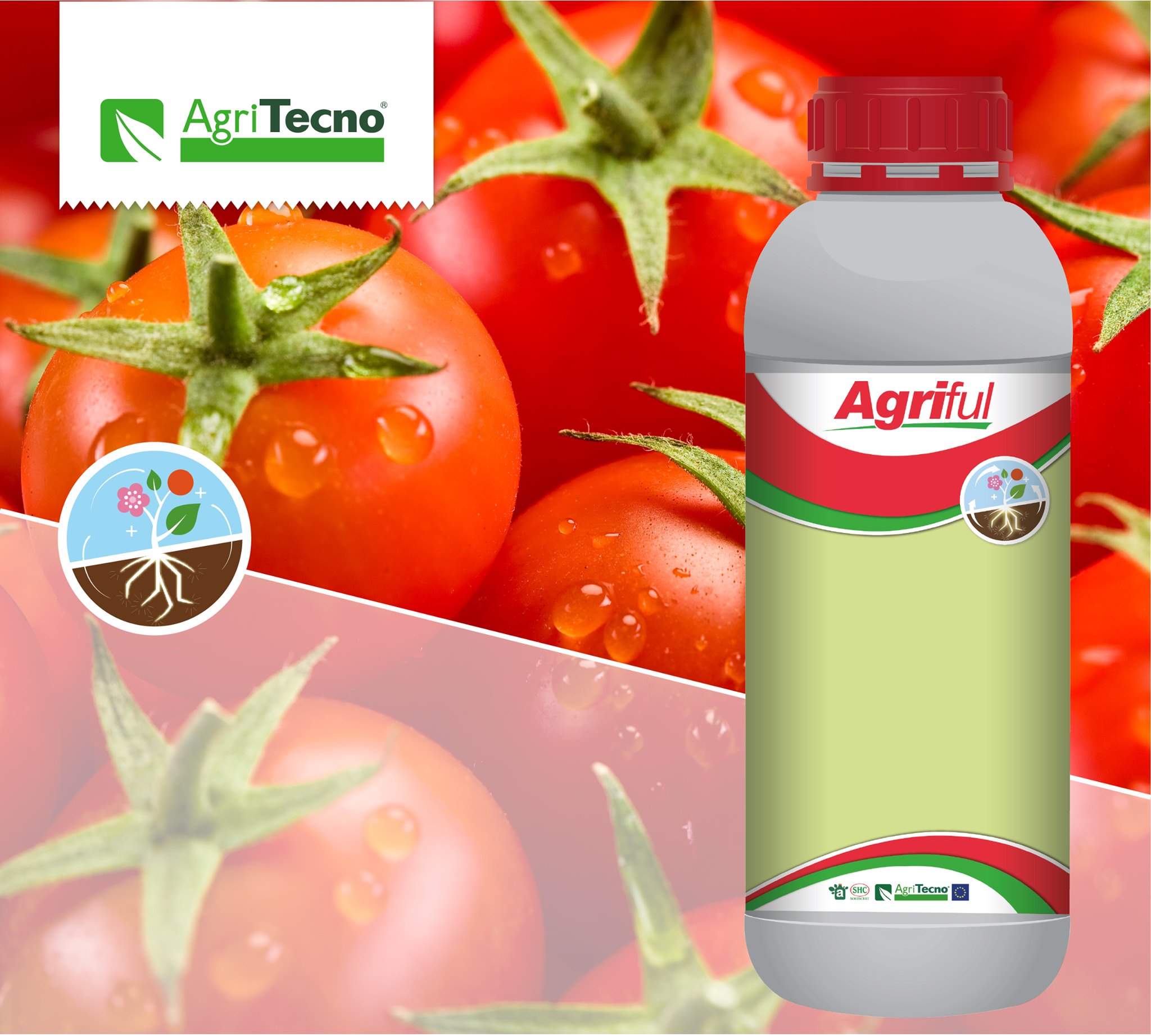 #Agriful in tomato             
 Biostimulator radicular natural – efect rapid
 Agriful stimulează dezvoltarea sistemului radicular
Ver traducción