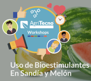 Uso de bioestimulantes en sandía y melón
