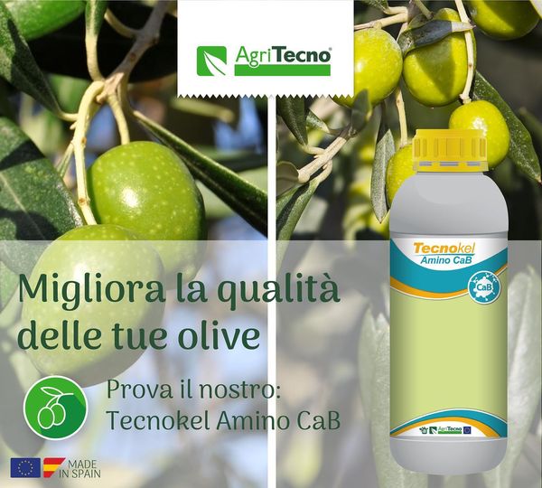 Improved consistency and post-harvest quality. Reduces the tendency of fruit cracking. Control of physiopathies related to calcium deficiency. It improves the translocation of calcium in the plant.
 ·…