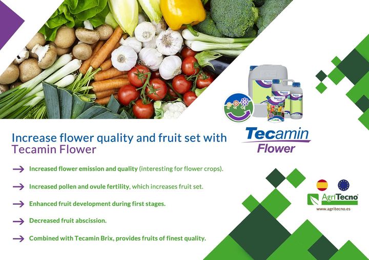 #Tecaminflower Se ha comprobado mediante estudios genéticos que la aplicación del producto regula el proceso natural de #floración, al mismo tiempo que protege de distintas situaciones de estrés para …