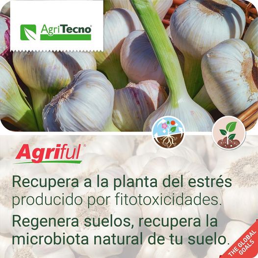 Con #Agriful Recupera a la planta del estrés producido por fitotoxicidades (herbicidas).