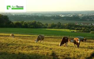 improve the performance in livestock feeding Do you want to know more: contact-us@agritecno.es