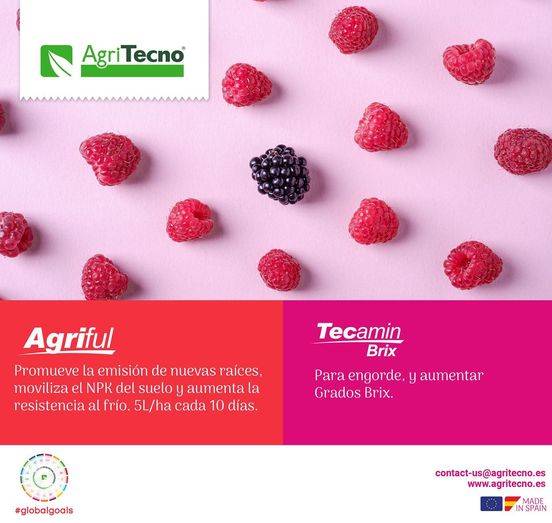 #AgriTecno your best #solution for #berries
 ·