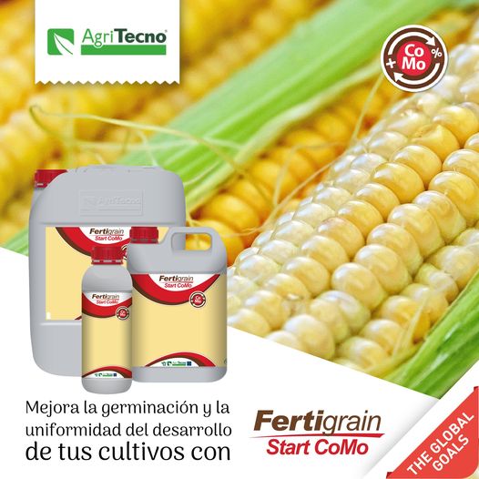 #FertigrainStartCoMo increases the percentage of germination in legume seeds, improves root development, nourishes and increases the viability of inoculated bacteria and enhances nodulation.
 ·