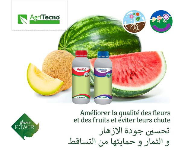 Mejora la calidad de las frutas y previene su caida. #AGRIFUL #TECAMINFLOWER
#WATERMELON #MELON