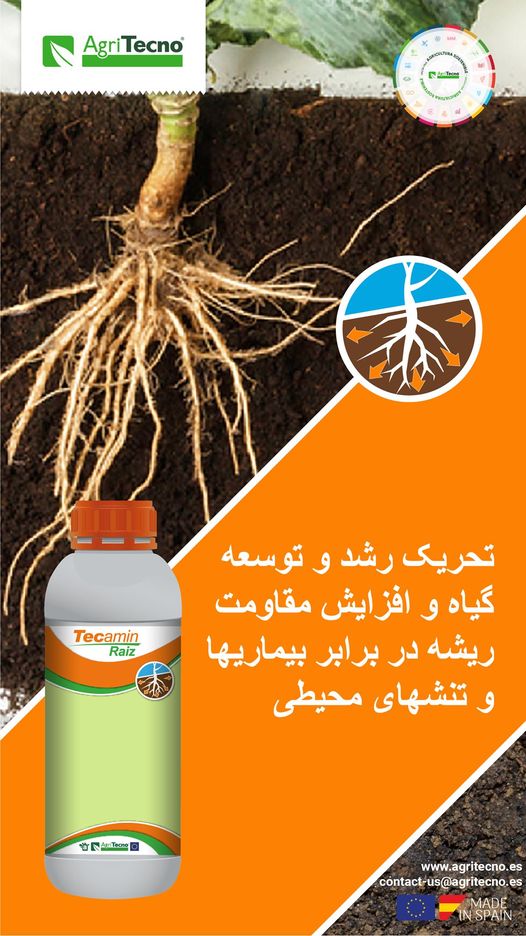#TecaminRaiz High rooting power. Formulated specifically to promote the propagation of seedlings in nurseries and a rapid post-transplant recovery. Stimulates the development of absorbent root hairs.
…